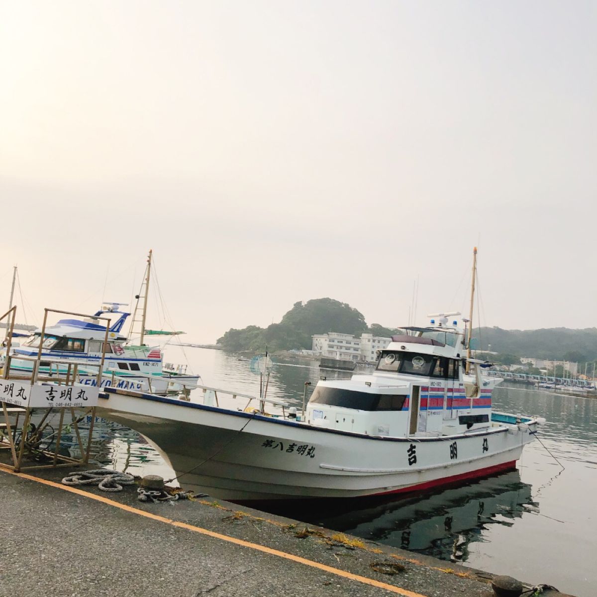 おとひめさんの釣果 3枚目の画像