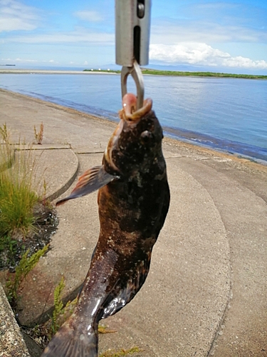 釣果