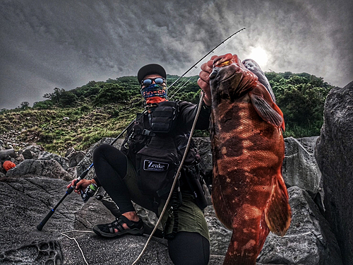 アカハタの釣果