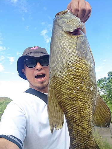 スモールマウスバスの釣果