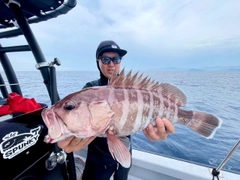 マハタの釣果