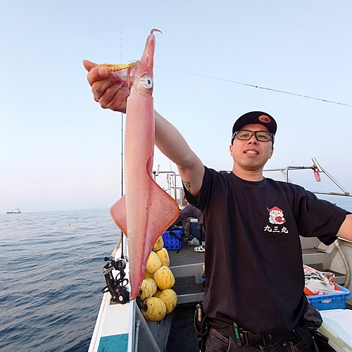 ヤリイカの釣果