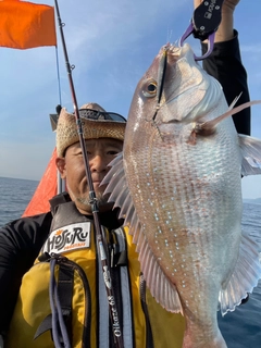 マダイの釣果