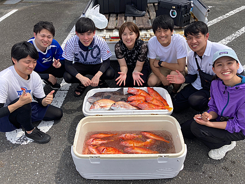 マダイの釣果