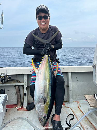 キハダマグロの釣果