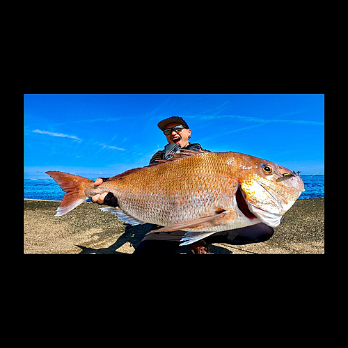 タイの釣果