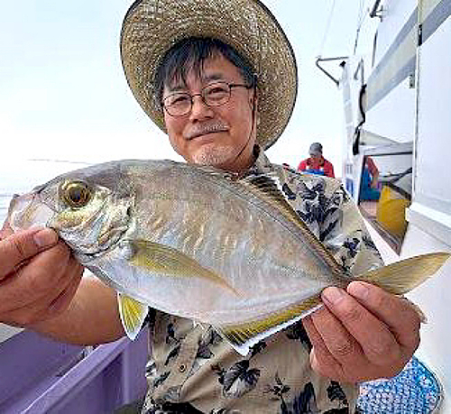 カイワリの釣果