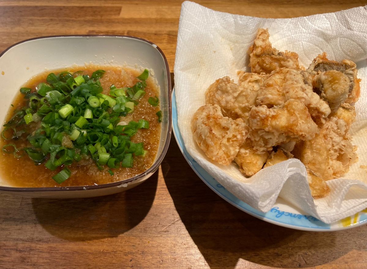 クニッペさんの釣果 3枚目の画像