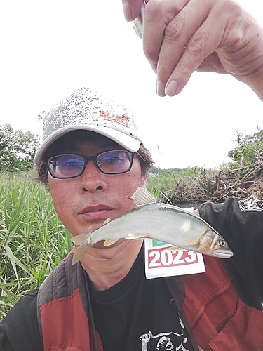 アユの釣果