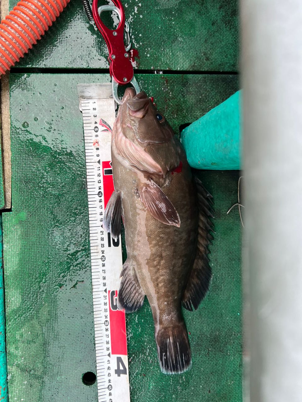 かずむささんの釣果 2枚目の画像