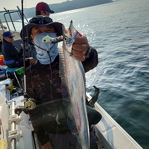 タチウオの釣果