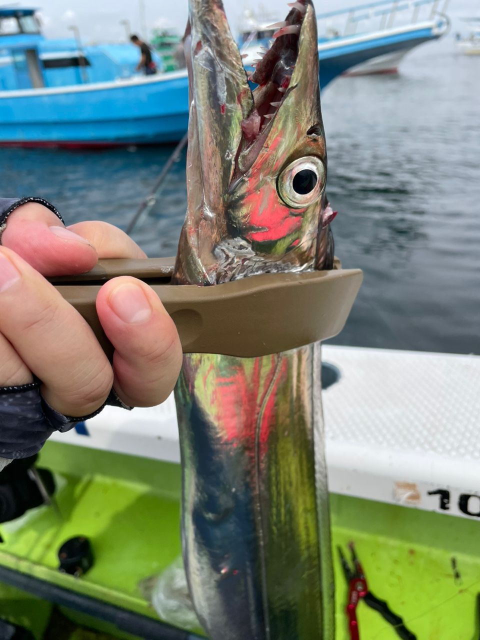 魚喰いさんの釣果 3枚目の画像