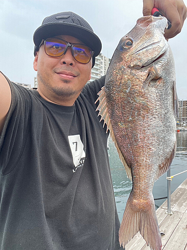 タイの釣果