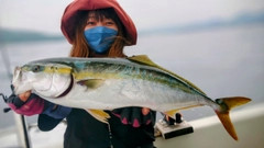 ヤズの釣果