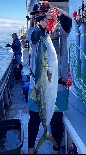 ワラサの釣果