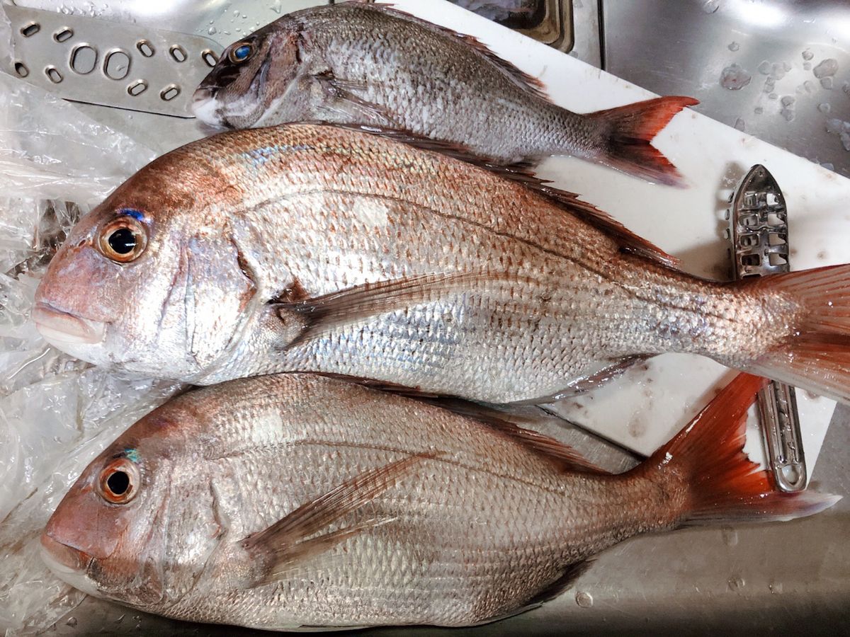 K.16さんの釣果 2枚目の画像