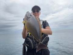 テングハギモドキの釣果