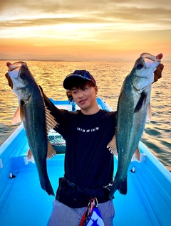 シーバスの釣果