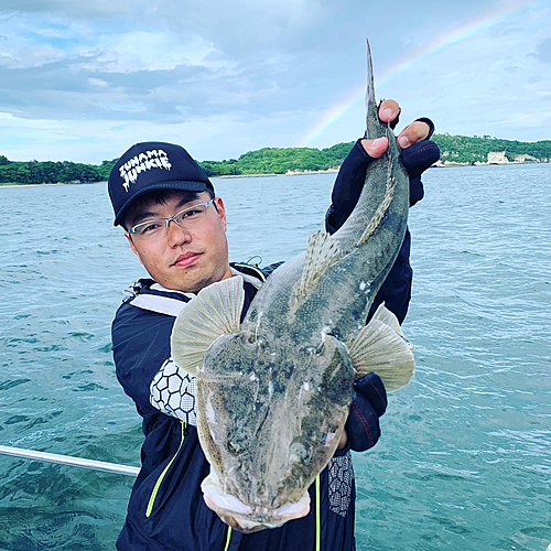 マゴチの釣果