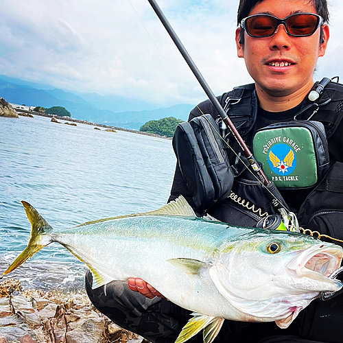 ワラサの釣果