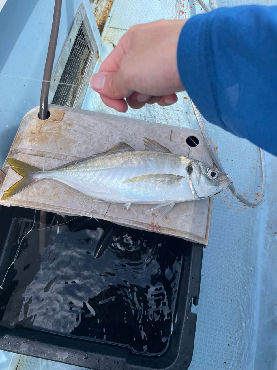 YかにぱんYさんの釣果 2枚目の画像