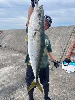 ブリの釣果