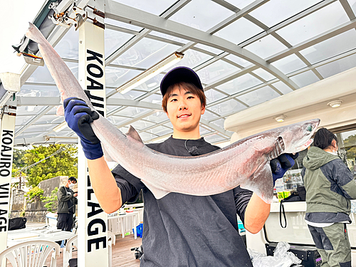 エドアブラザメの釣果