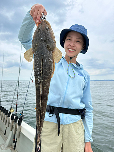 マゴチの釣果