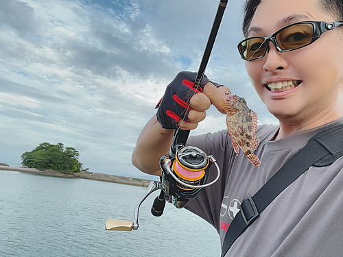 アラカブの釣果