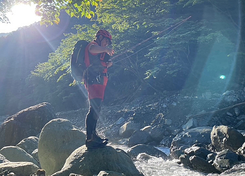 イワナの釣果