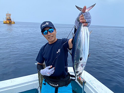 カツオの釣果