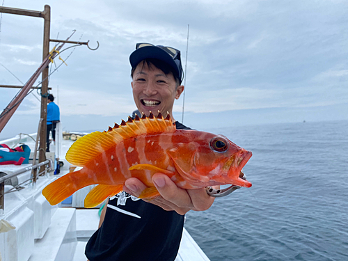 アカハタの釣果