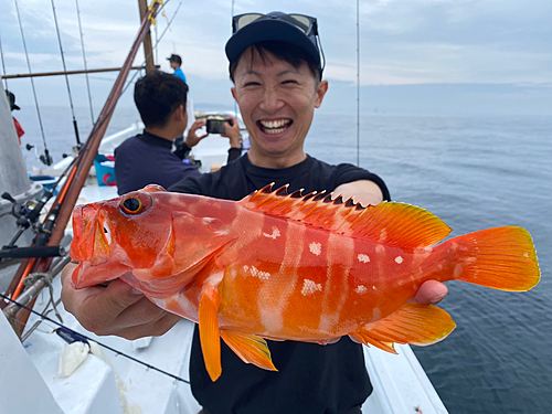 アカハタの釣果