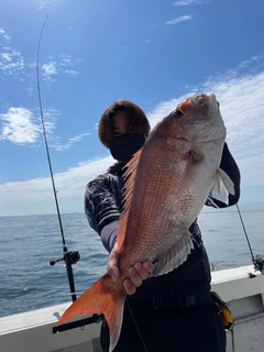 マダイの釣果