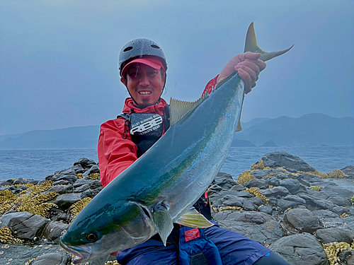 ワラサの釣果