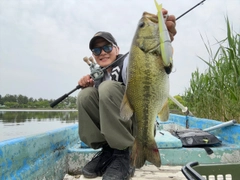 ブラックバスの釣果