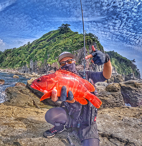 アカハタの釣果