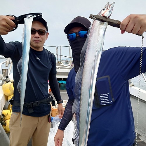 タチウオの釣果