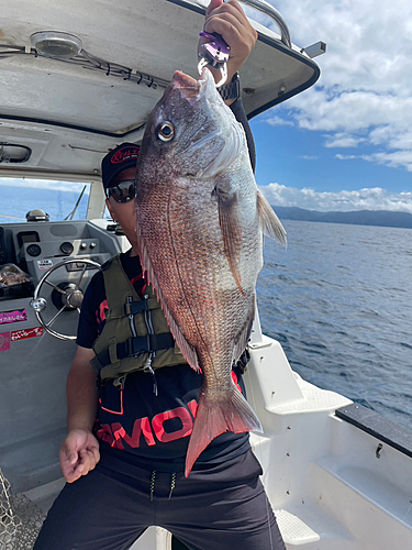 タイの釣果