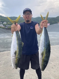 ブリの釣果