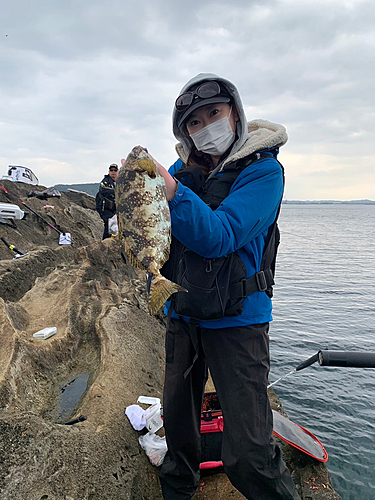 アイゴの釣果