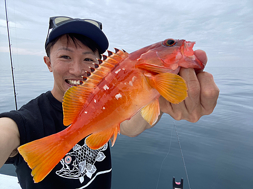 アカハタの釣果