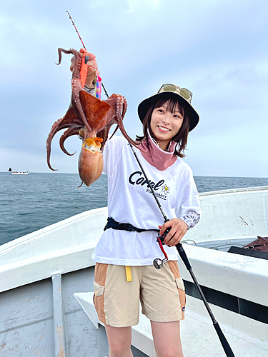 マダコの釣果