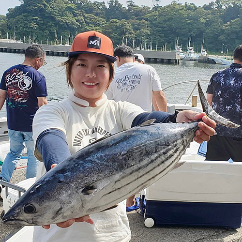 カツオの釣果