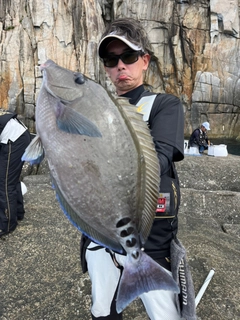 サンノジの釣果