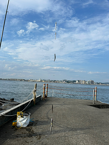 カマスの釣果