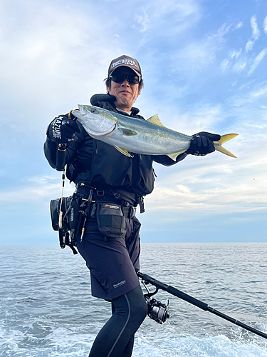 ヒラマサの釣果