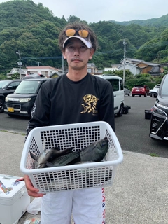 グレの釣果