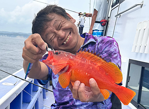 アカハタの釣果