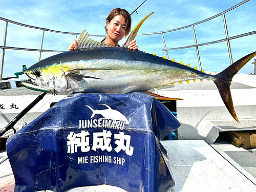 キハダマグロの釣果